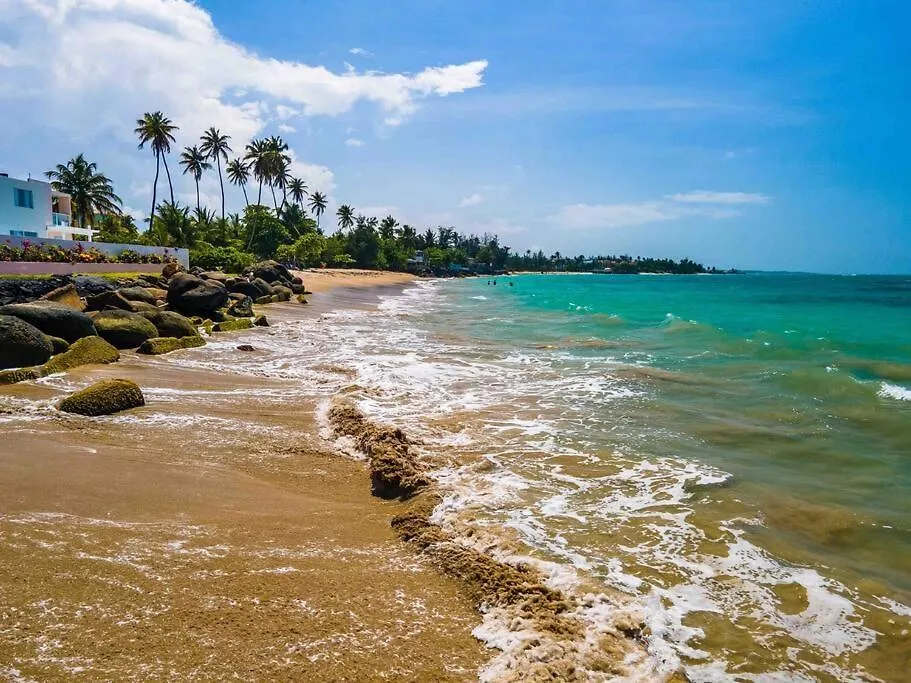 Palm Villa - Amazing Direct Sandy Beach Access Luxury Villa Loiza Puerto Rico