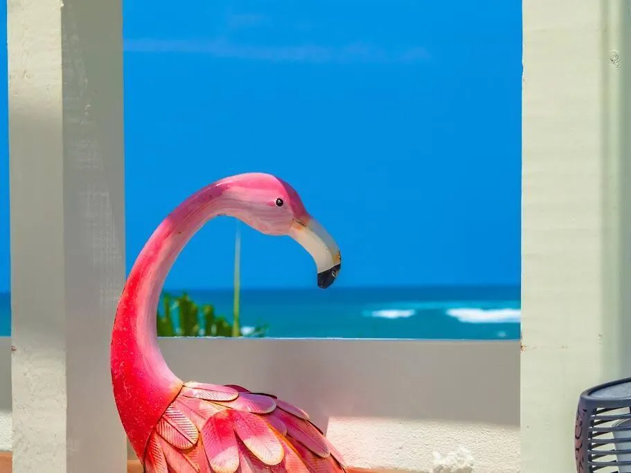 Palm Villa - Amazing Direct Sandy Beach Access Luxury Villa Loiza Puerto Rico