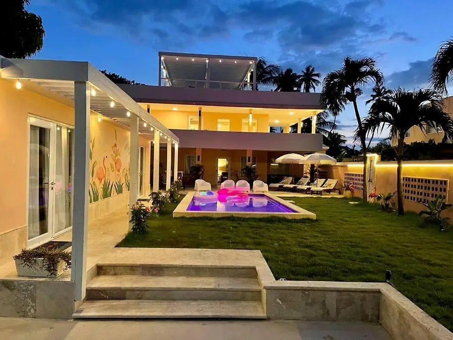 Palm Villa - Amazing Direct Sandy Beach Access Luxury Villa Loiza